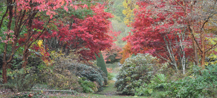 Arboretum de la Sédelle